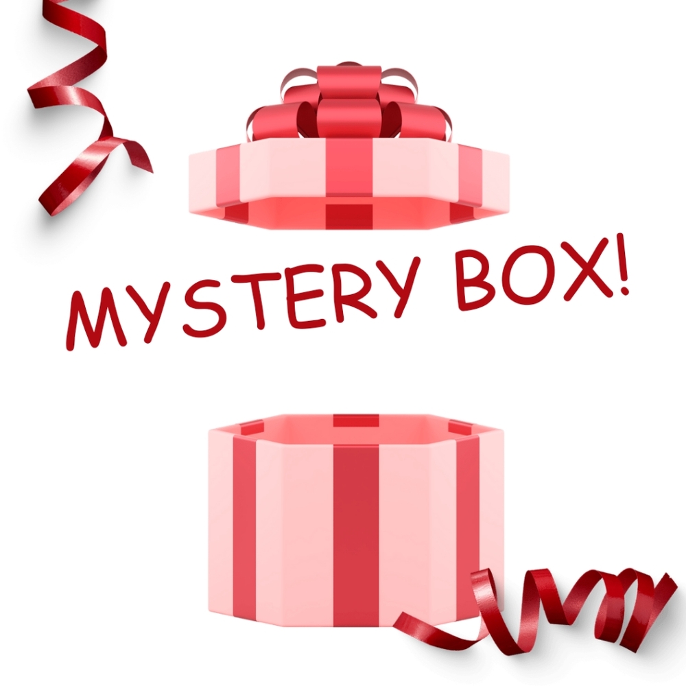 LADIES SIZE 4X MYSTERY BOX